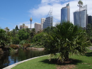 Botany Garden Sydney